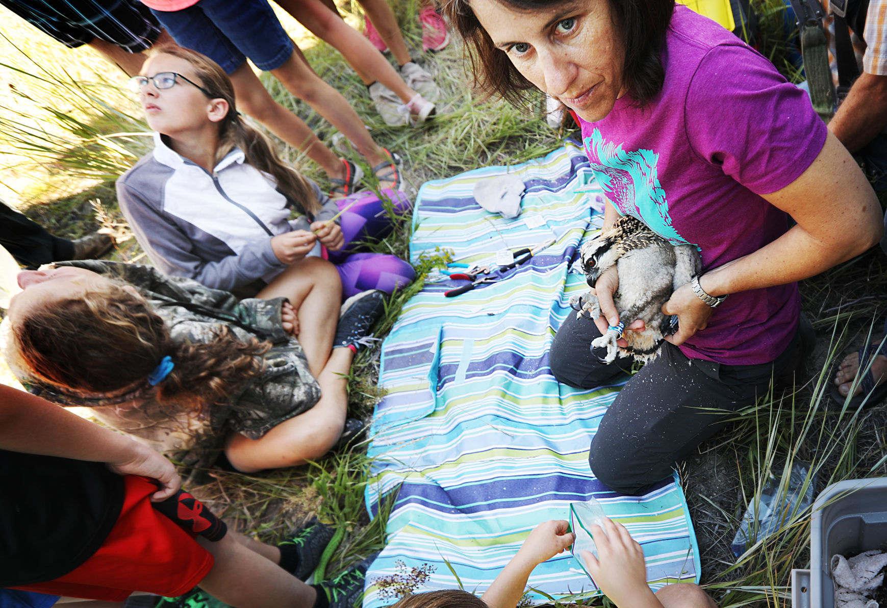 Warm Springs osprey get a visit from biologists